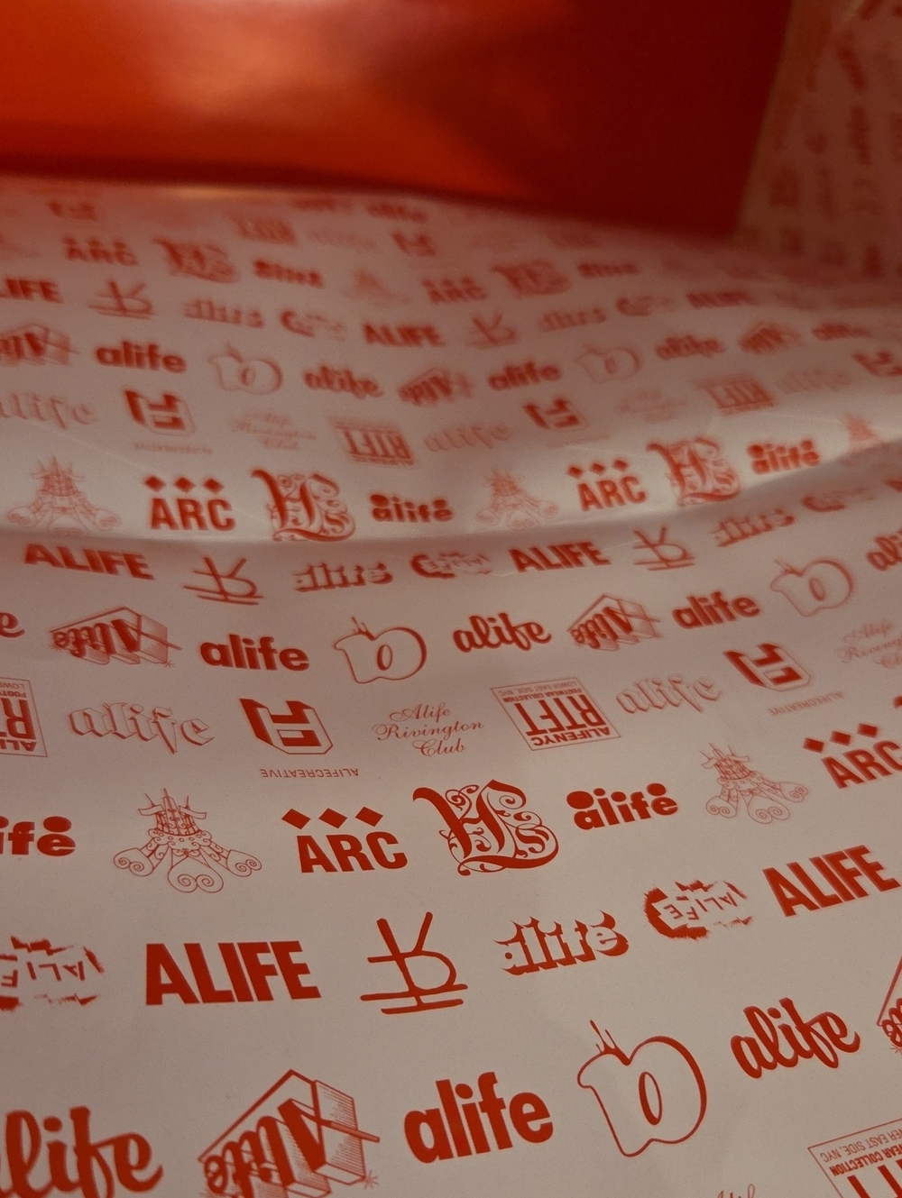 *Vintage 2000s* ALIFE Hypebeast Collectible Store Bag - Picture 3 of 7